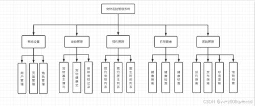 SpringBoot寵物醫(yī)院系統(tǒng) 設計與實現(xiàn)全解析